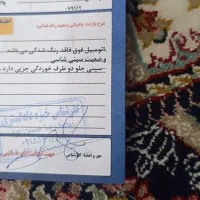 ۲۰۶ اس دی وی ۸ مدل ۹۹ کم کار