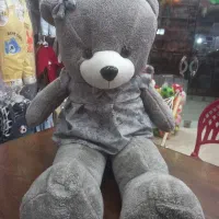 خرس ۱۰۰سانت سیسمونی اسدی