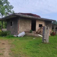 فروش زمین ۴هکتاری تو دل جنگل|فروش زمین و ملک کلنگی|شفت, |دیوار