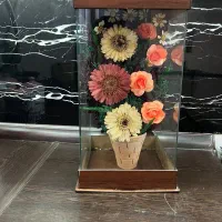 باکس گل خشک نو|گل مصنوعی|اصفهان, پرتمان|دیوار