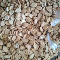 کلاله شمالی درجه یک