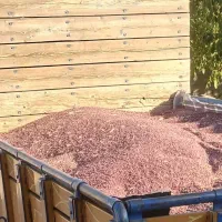 لوبیا قرمز درجه یک|خوردنی و آشامیدنی|ارژن, |دیوار