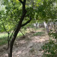 باغ‌وباغچه‌ویلایی‌‌انشعاب‌داردراسکو|فروش خانه و ویلا|اسکو, |دیوار