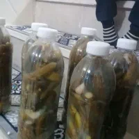 خیار شور درجه ۱تعداد ۲۰۰ عدد