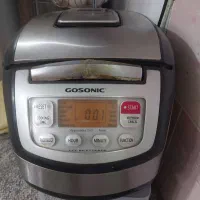 پلوپز گاسونیک