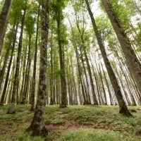 تورمرداب هسل فردا صبح ( سه شنبه )