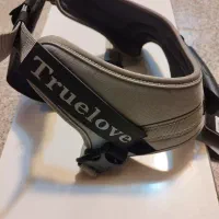 فروش یک عدد قلاده سگ اصلی