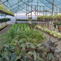 فروش گلخانه|فروش دفتر صنعتی، کشاورزی، تجاری|عباسآباد, |دیوار