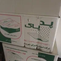 پدالکلی