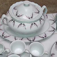 چینی|ظروف سرو و پذیرایی|ابهر, |دیوار