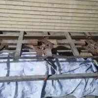 گاز سه شعله رستورانی