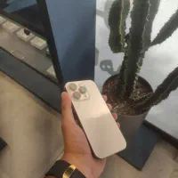 16Pro 512 ZAA