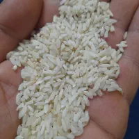 برنج‌‌محلی