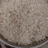 برنج محلی درشت پارساله به قیمت