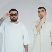 یک عدد بلیط کنسرت د دان