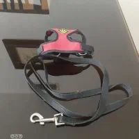 کولی برای سگ کوچک ودو تا قلاده|لوازم جانبی حیوانات|پردیس, فاز ۱۱|دیوار