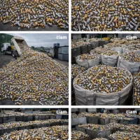 ظایعات و شیرآلات