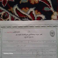 فیش حج واجب