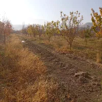 فروش باغ نقلی|فروش زمین و ملک کلنگی|ماکو, |دیوار