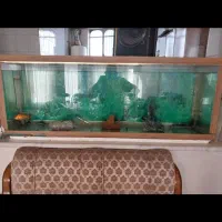 اکواریوم بزرگ و تمیز