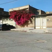 رنگ آمیزی ساختمان و در وپنجره.