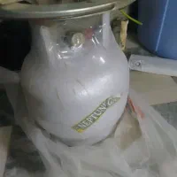 پیک نیک نونو