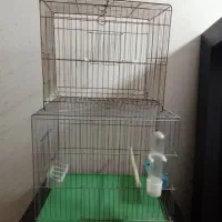 قفس