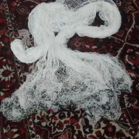 تورماهیگیری ۱۲ متری