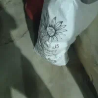 20هزاتاگونی آردبه قیمت مناسب