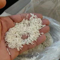 برنج دم سیاه|خوردنی و آشامیدنی|رشت, بازار|دیوار