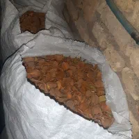 پوسته بادام فروشی