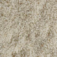 لاشه طارم هاشمی