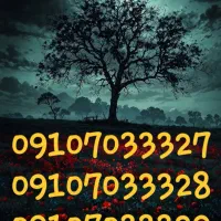 سیم کارت رایگان میخوای