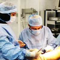 پیکرتراشی لیپو ابدومینو ماموپلاستی پروتزسینه اقساط