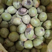 گردو با پوست
