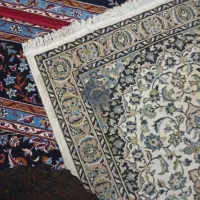 قالیچه یک چنین دردومتر|فرش|گرگان, |دیوار