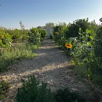فروش باغ ۱۰۰۰ متری سنددار|فروش زمین و ملک کلنگی|اصفهان, خوراسگان|دیوار