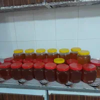 عسل|خوردنی و آشامیدنی|تهران, راه آهن|دیوار