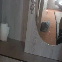 جاکفشی ،سالم وجادار