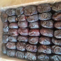 عرضه مستقیم خرما و رطب درجه یک|خوردنی و آشامیدنی|مشهد, کوی دروی|دیوار