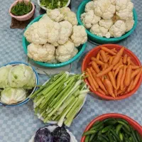 ترشی فصل خاله لیلا|خوردنی و آشامیدنی|قم, چهار امامزاده|دیوار