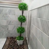 گل و گلدان در حدنونو|گل مصنوعی|قم, امامزاده ابراهیم|دیوار