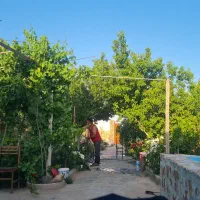 باغ۳۰۰متری زیر قیمت|فروش دفتر صنعتی، کشاورزی، تجاری|مشهد, گنبدواز|دیوار