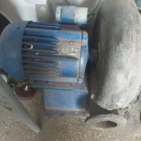 دم هلزونی سالم سالم