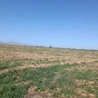 زمین-کشاورزی-8-هکتار