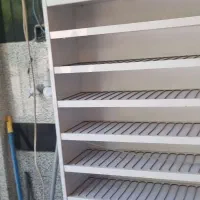 ویترین و رگال و اسنتند لاک