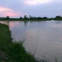 استخرماهی-صنعتی-قابل-تبدیل-به-گاوداری-گلخانه