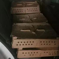خریدار دان پارس پلت صنعتی گوشتی