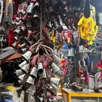 قلاده قرچه دار اصفهانی|لوازم جانبی حیوانات|قم, رضویه|دیوار