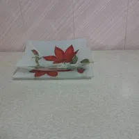 ظروف اکروپال